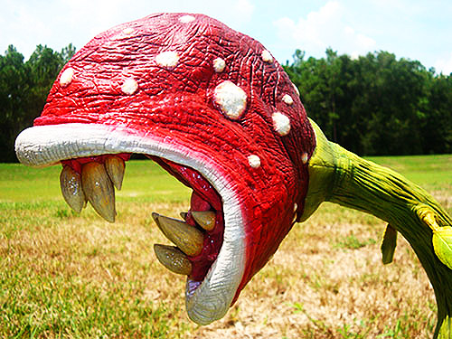 piranha